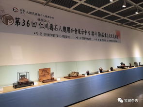 以石為媒，跨越山海 青島民間賞石藝術(shù)開啟跨國交流新篇章